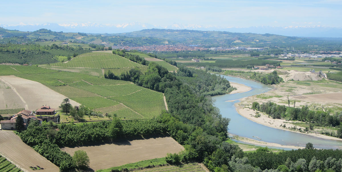 Barbaresco Piedmont